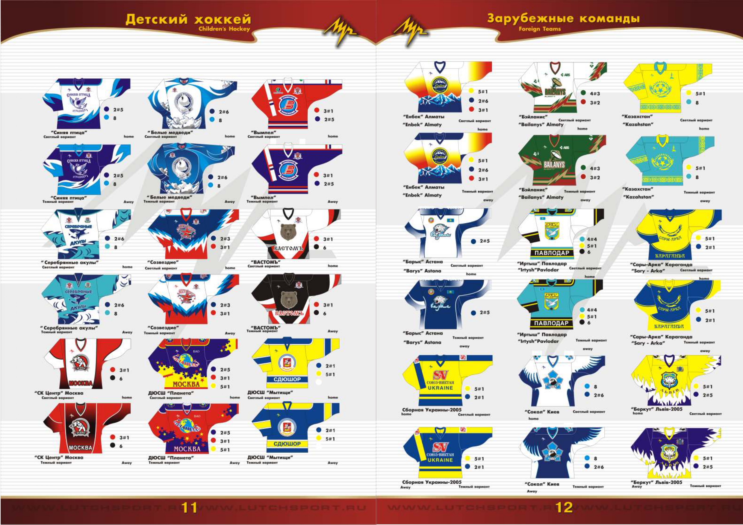 хоккейная форма на команду сезон 2008-2009